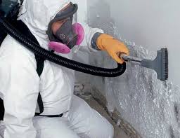 Best Industrial Mold Remediation  in Wright, WY